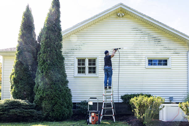 Best Fence Cleaning  in Rincon, GA